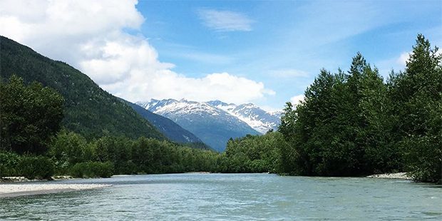 A Cruise Skeptic Sails to Alaska